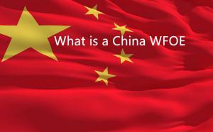 中国のWFOEとは何ですか？物事をより簡単にするためのローカルヘルプを入手する理由は何ですか？